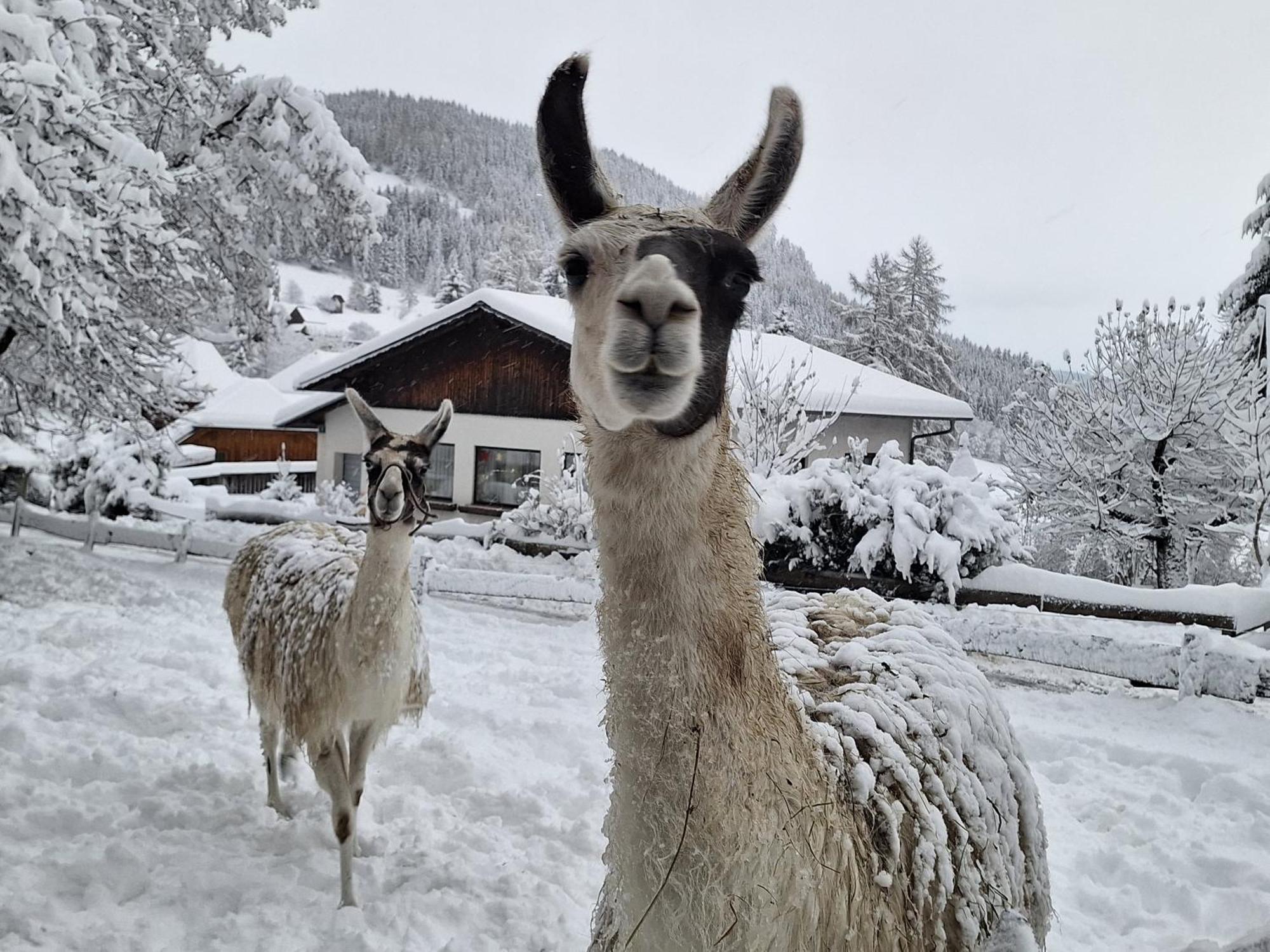 Gasthof Kirchmoar Sankt Blasen ภายนอก รูปภาพ